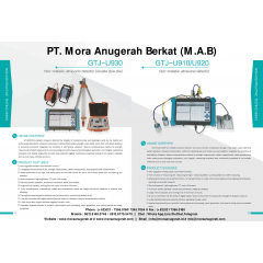 NON-METALIC ULTRASONICS DETECTOR