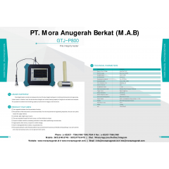PILE INTEGRITY TESTER (GTJ P-800)