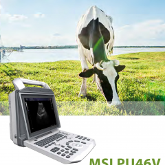 Portable B/W ultrasound