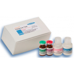 TEST KIT UJI HISTAMIN