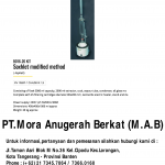 SOXHLET MODIFIED METHOD
