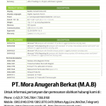BACHARACH Monoxor XR CO Exhaust Analyzer