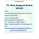 FLUKE 451P Pressurized μR Ion Chamber Survey Meter